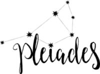 Pleiades Designs coupons